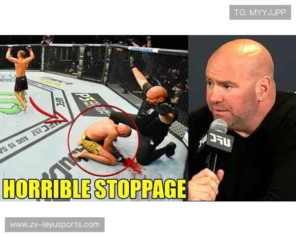 UFC 比赛裁判失误