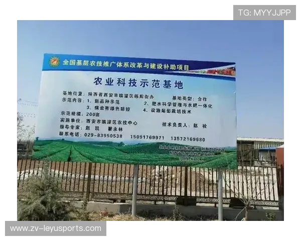世界篮球联赛在推广中注重基层师资建设与场馆资源下沉扶持计划
